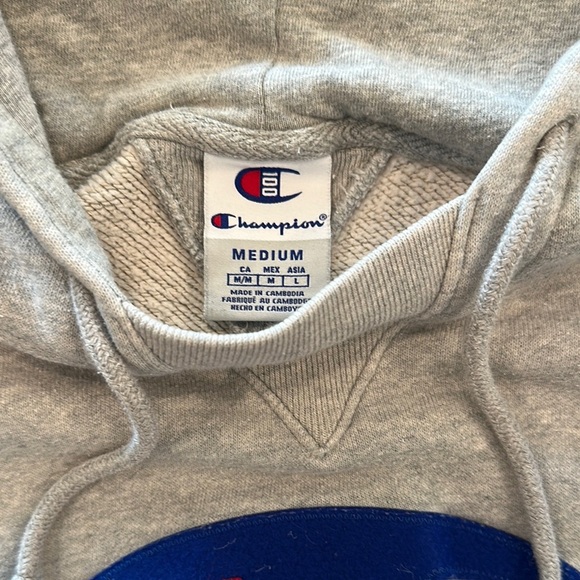 Champion 100 Year Anniversary Gray Hoodie with Logo Size Medium - Picture 4 of 5